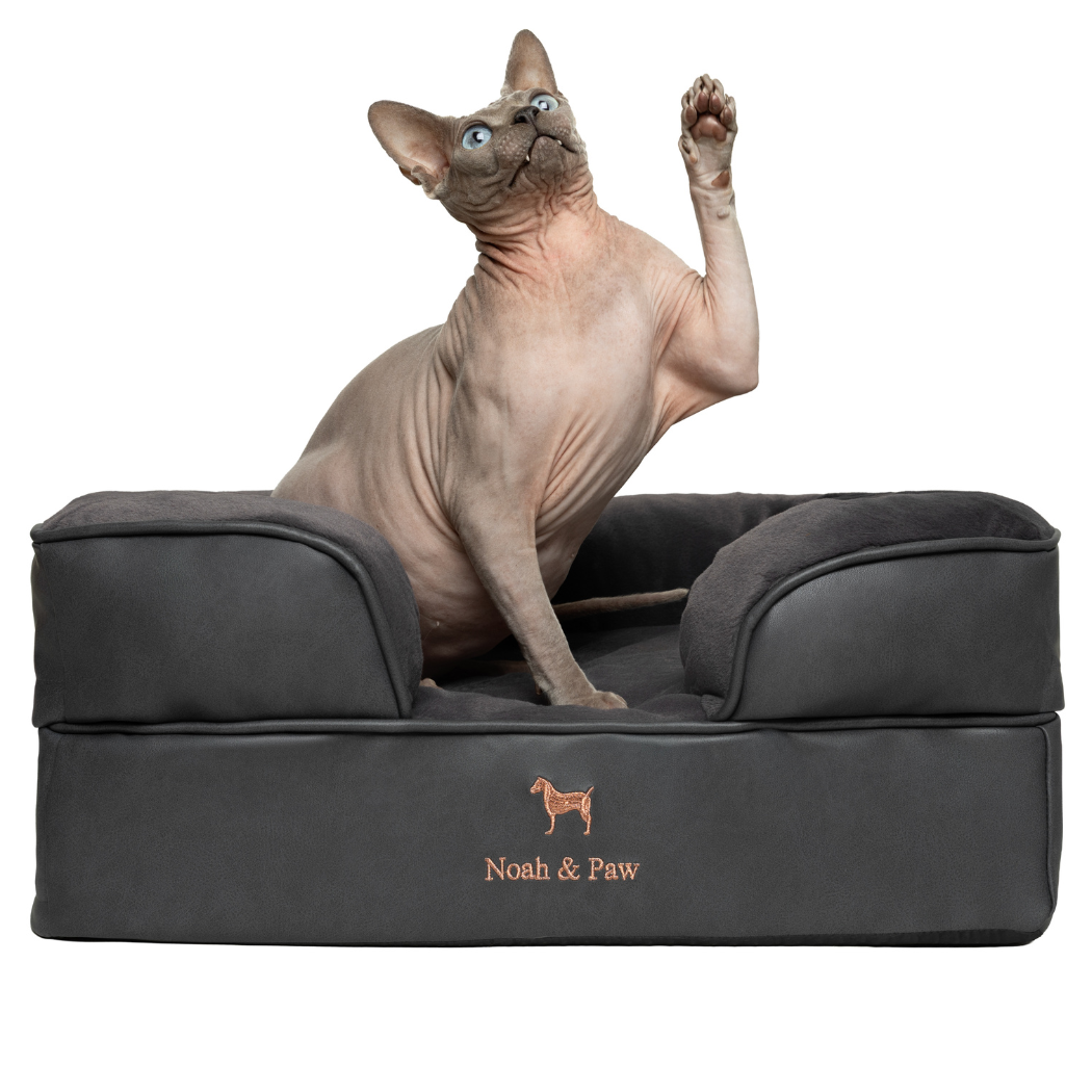 NOAH AND PAW LLC - Faux Leather, Orthopedic Pet Bed, Eggshell Memory Foam, Infused with Cooling Gel, Sofa Style