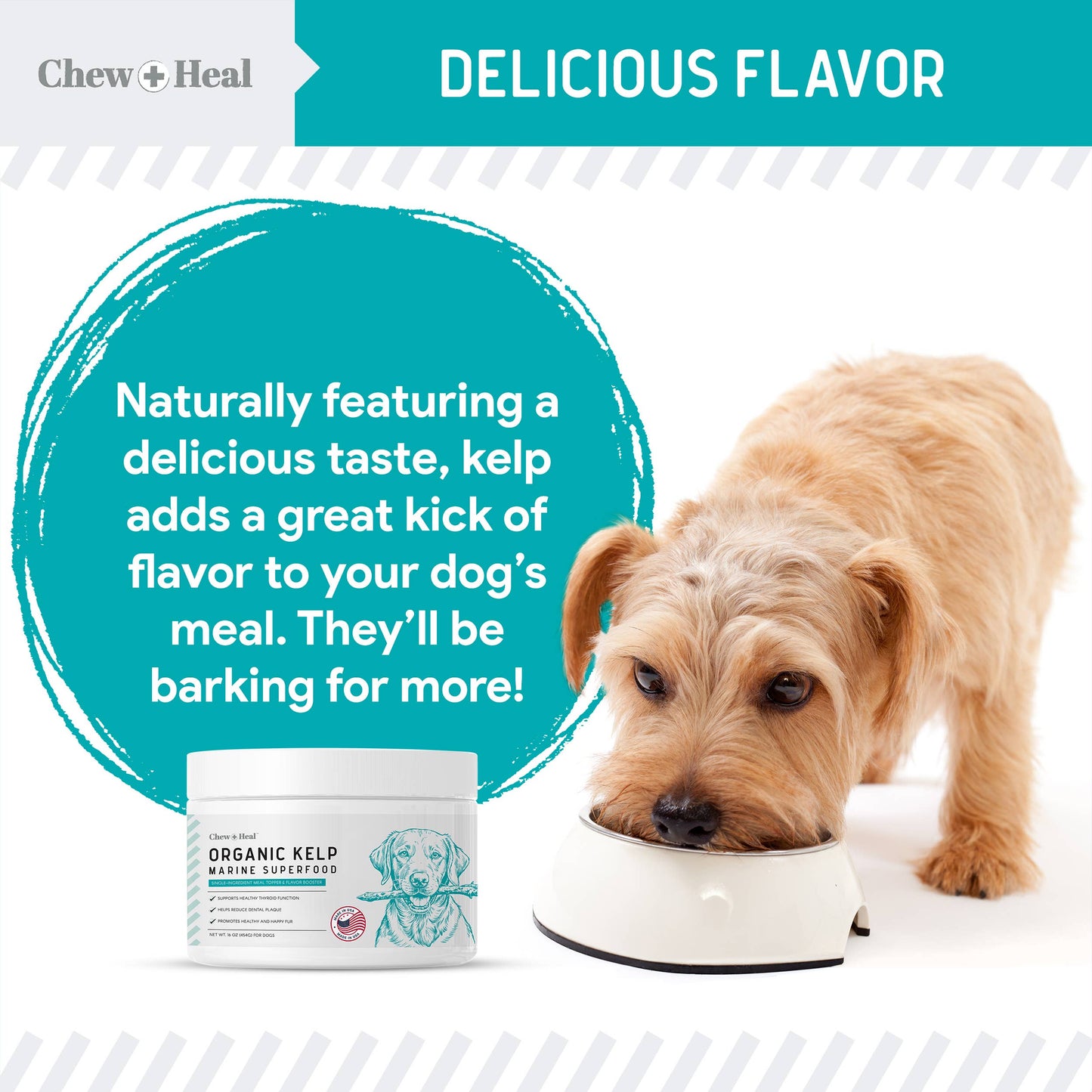 Chew + Heal - Organic Kelp Granules Marine Superfood Powder with Spoon