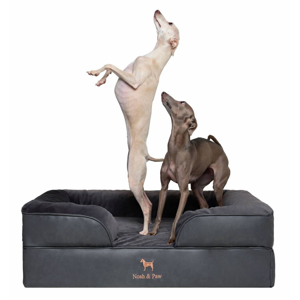 NOAH AND PAW LLC - Faux Leather, Orthopedic Pet Bed, Eggshell Memory Foam, Infused with Cooling Gel, Sofa Style