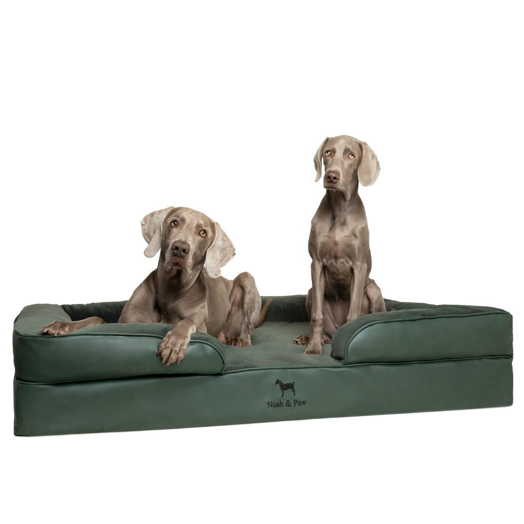 NOAH AND PAW LLC - Faux Leather, Orthopedic Pet Bed, Eggshell Memory Foam, Infused with Cooling Gel, Sofa Style