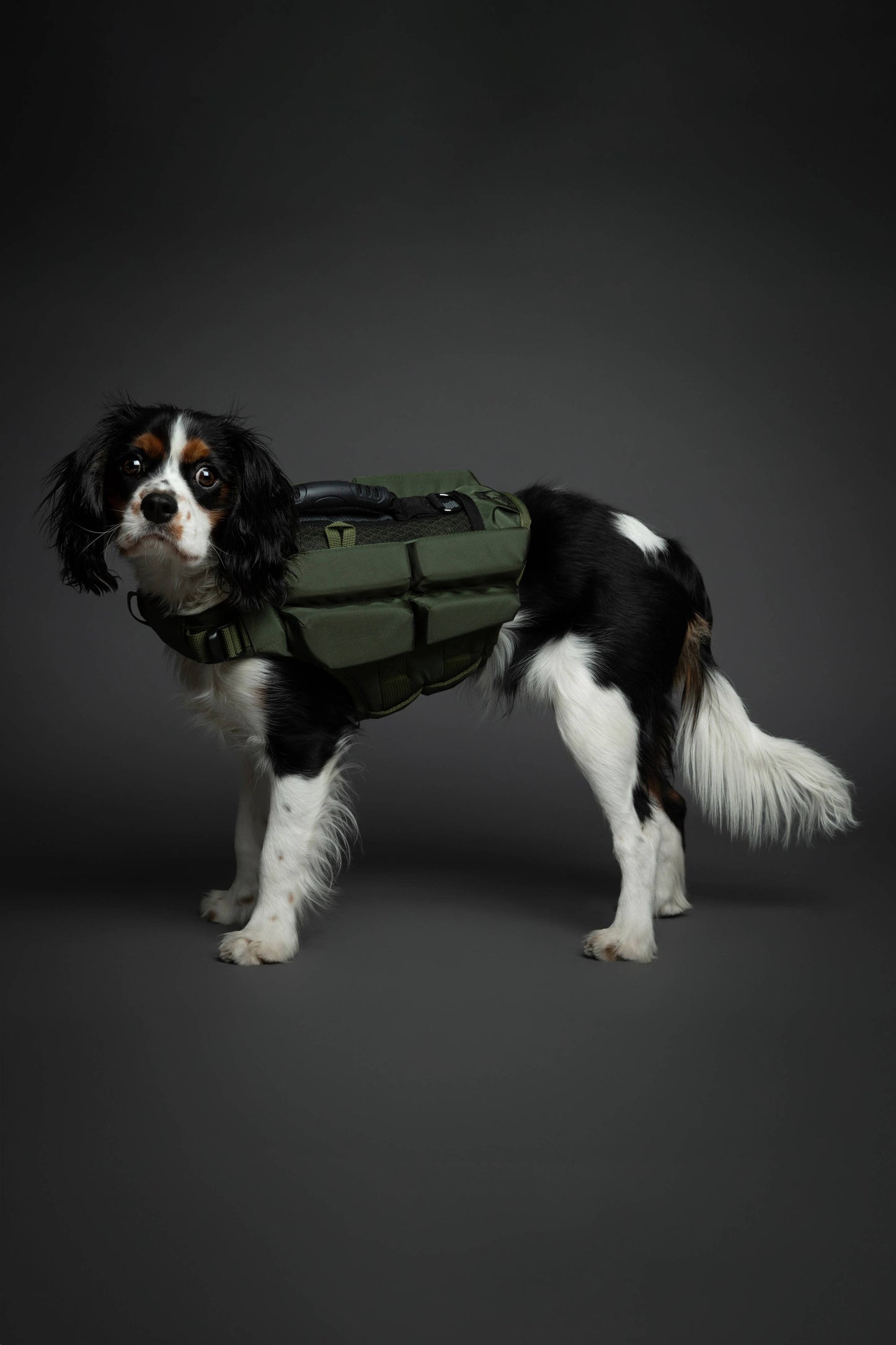 NOAH AND PAW LLC - Human Standards Dog Lifejacket Design with 4x Foam Support for Max Floating - Green