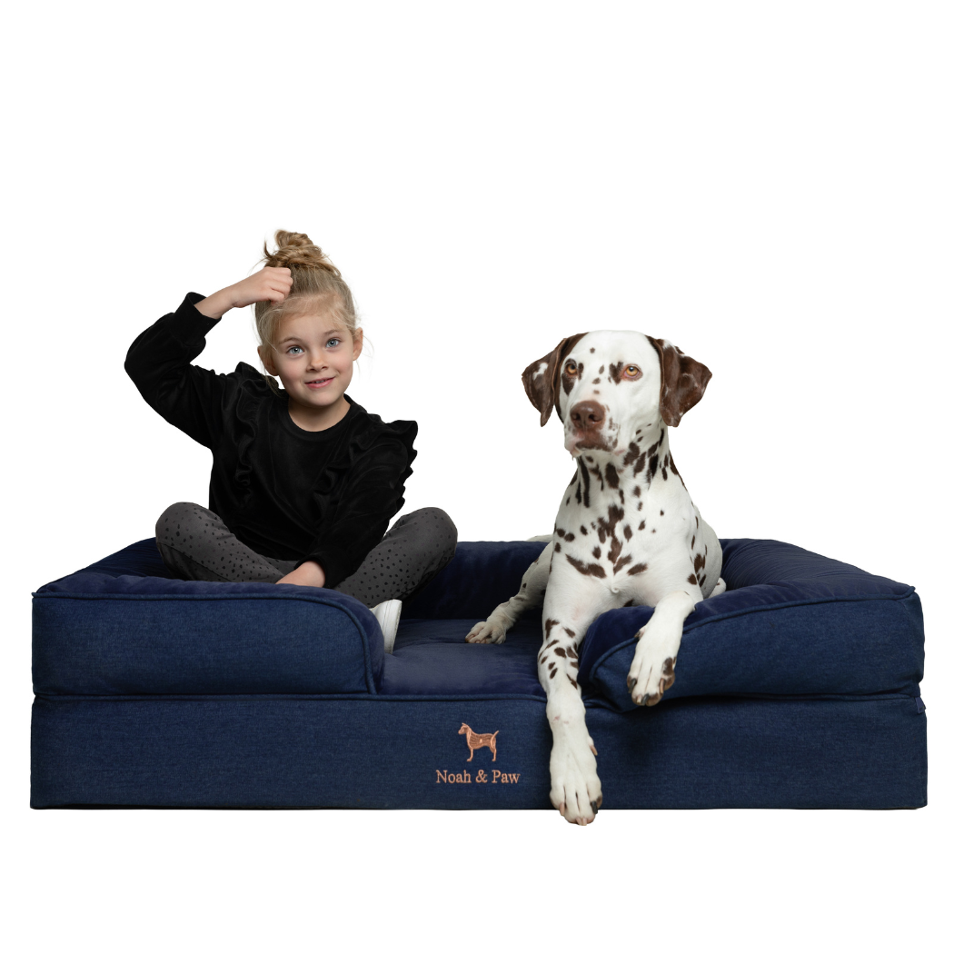 NOAH AND PAW LLC - Denim Orthopedic Pet Bed, Memory Foam, Infused with Cooling Gel