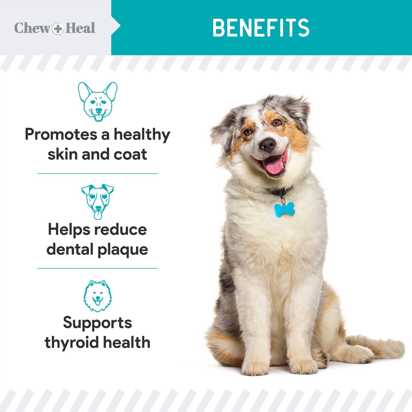 Chew + Heal - Organic Kelp Granules Marine Superfood Powder with Spoon