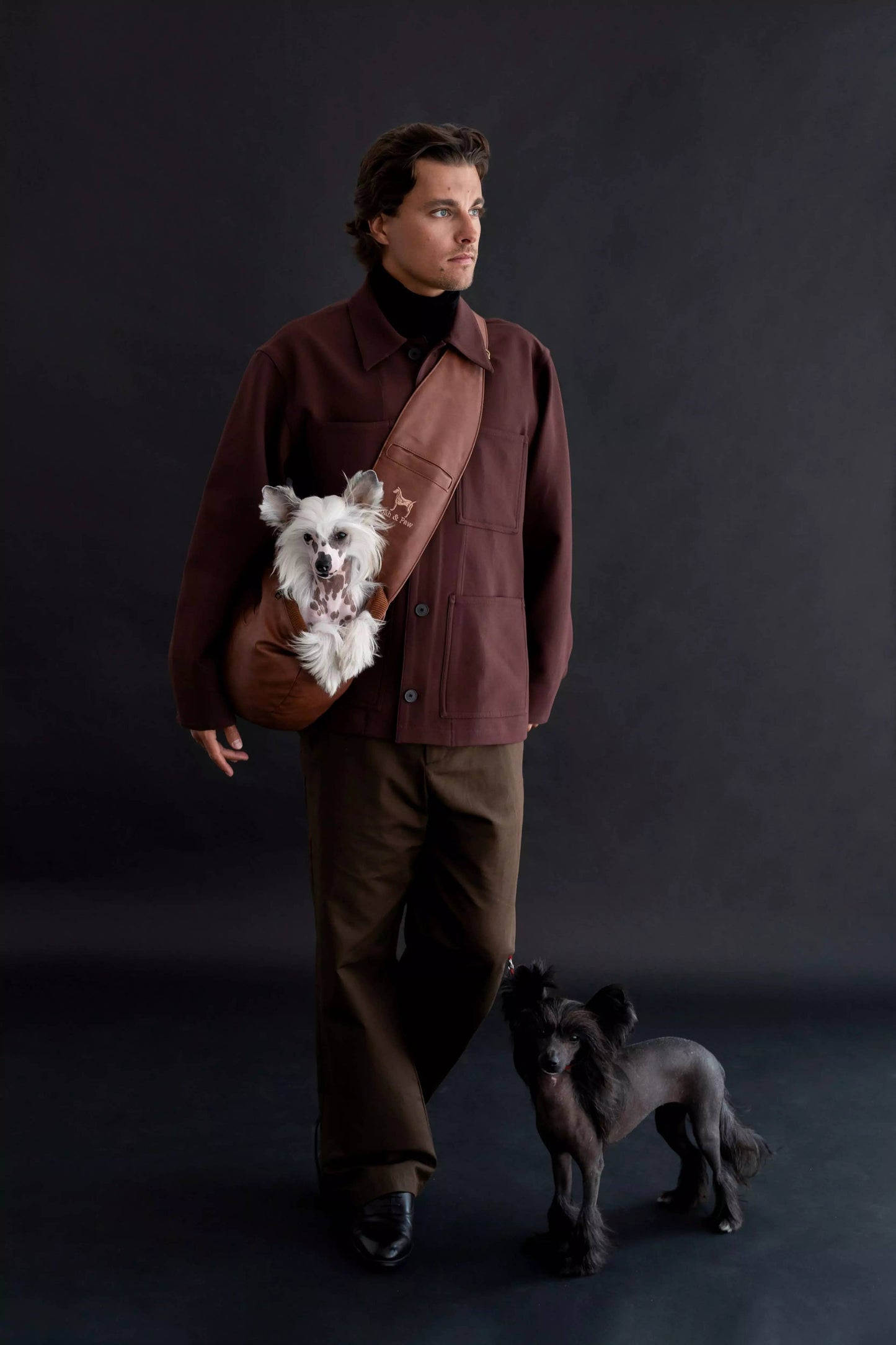 NOAH AND PAW LLC - Vegan Leather Pet sling Carrier 3x Safety