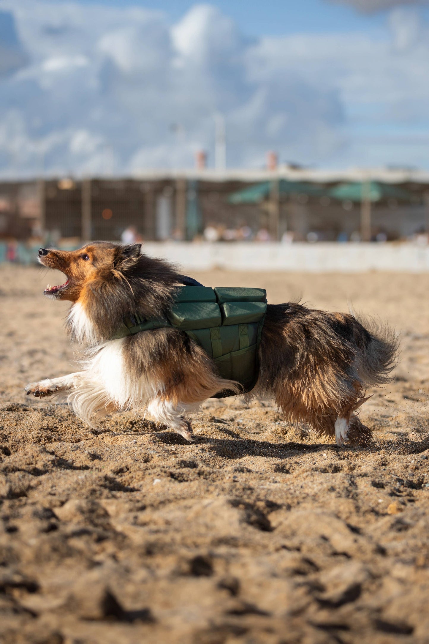 NOAH AND PAW LLC - Human Standards Dog Lifejacket Design with 4x Foam Support for Max Floating - Green
