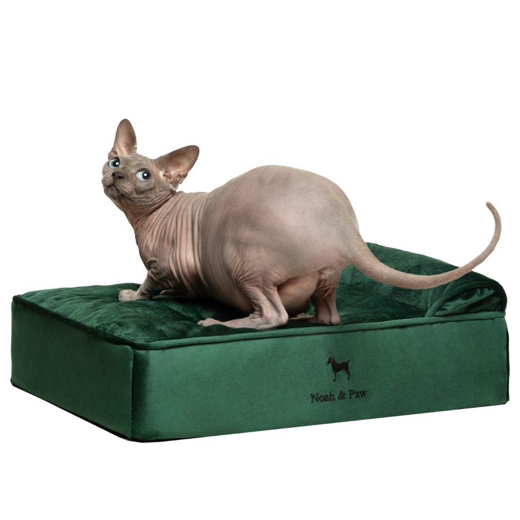 NOAH AND PAW LLC - Velvet Orthopedic Pet Bed, Memory Foam, Infused with Cooling Gel - Classic