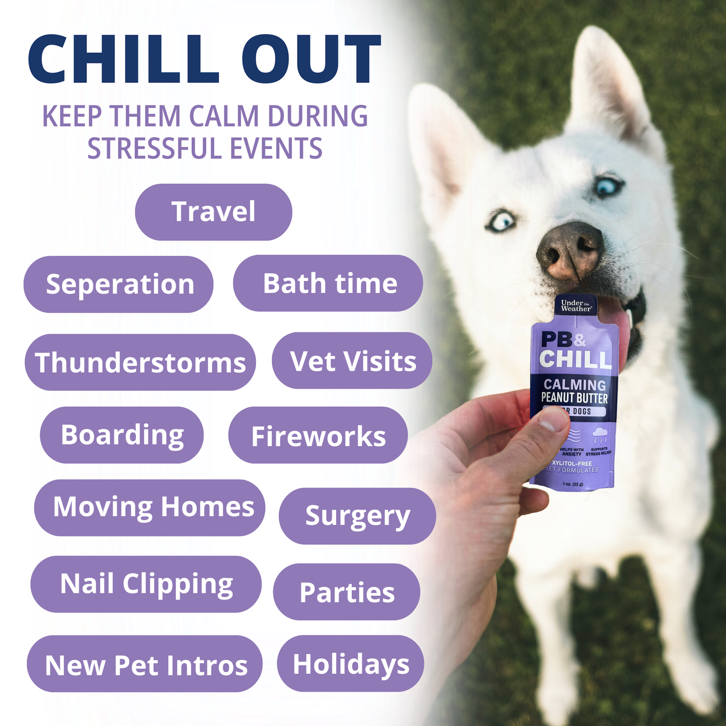 Under the Weather Pet - PB&Chill Calming Peanut Butter Packets For Dogs Single Severing 1 oz