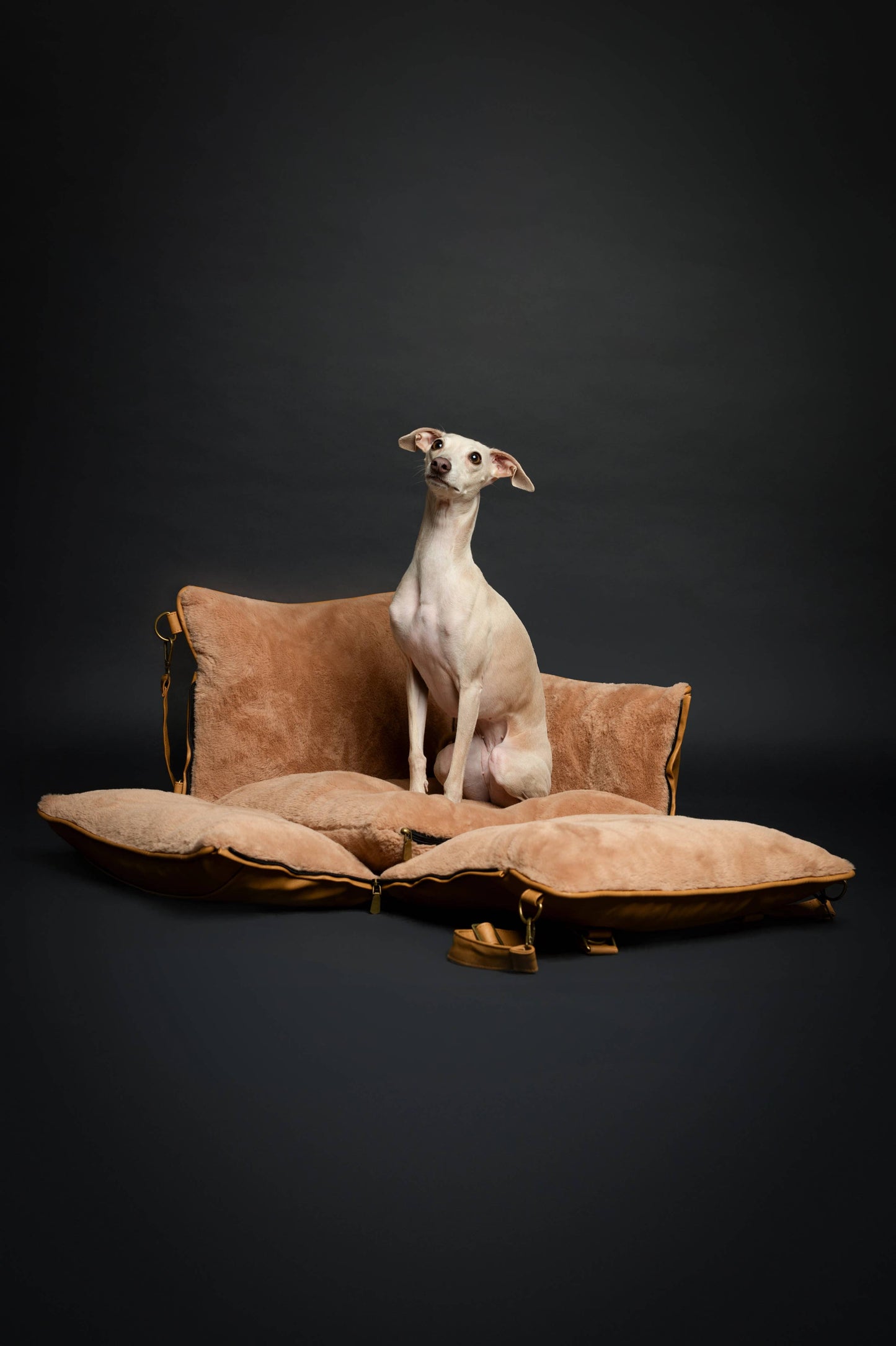NOAH AND PAW LLC - Dog Car Seat Carrier Orthopedic Crushed Foam, Camel, Vegan Leather