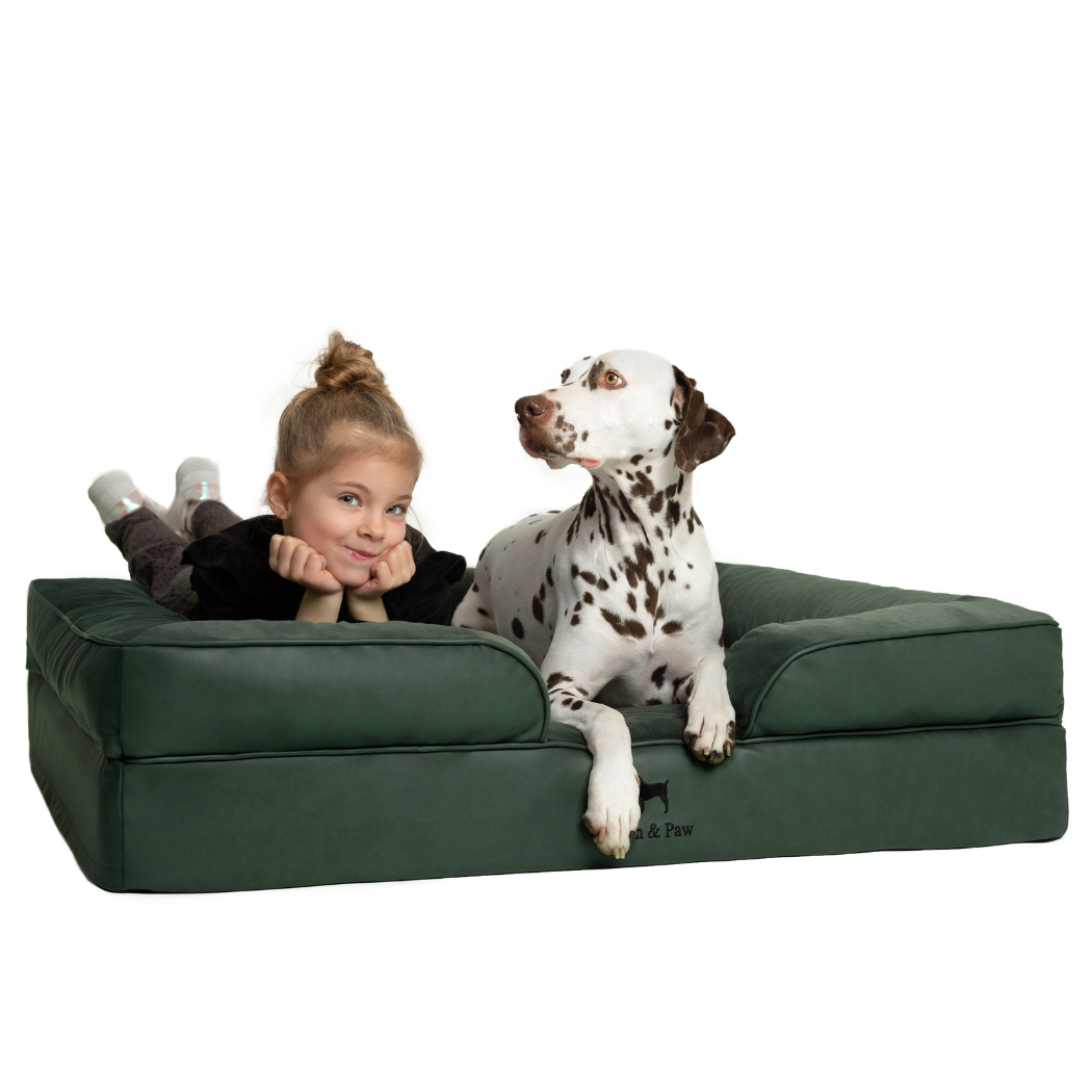 NOAH AND PAW LLC - Faux Leather, Orthopedic Pet Bed, Eggshell Memory Foam, Infused with Cooling Gel, Sofa Style