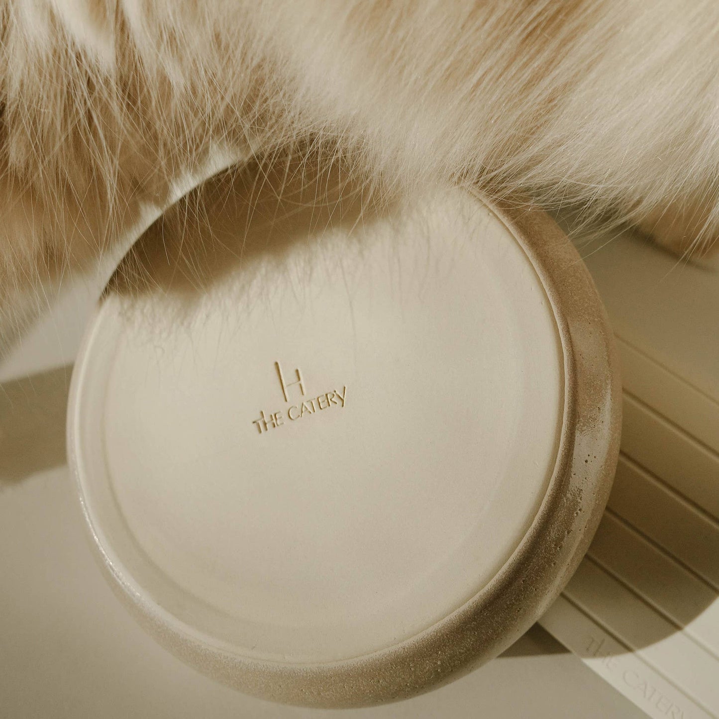 The Catery - Gourmet water bowl cream