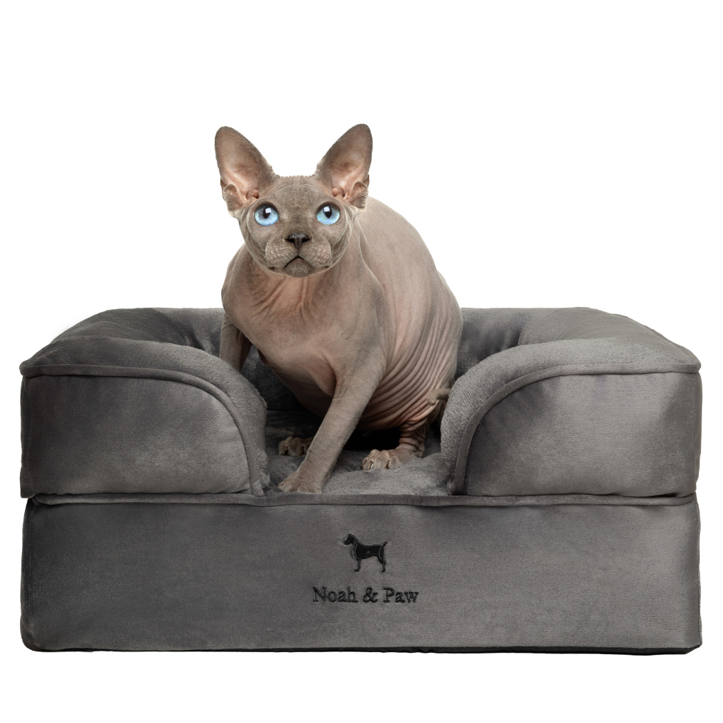 NOAH AND PAW LLC - Velvet Orthopedic Pet Bed, Memory Foam, Infused with Cooling Gel