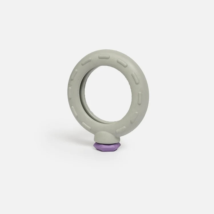 Sliver Paw Chew Toys