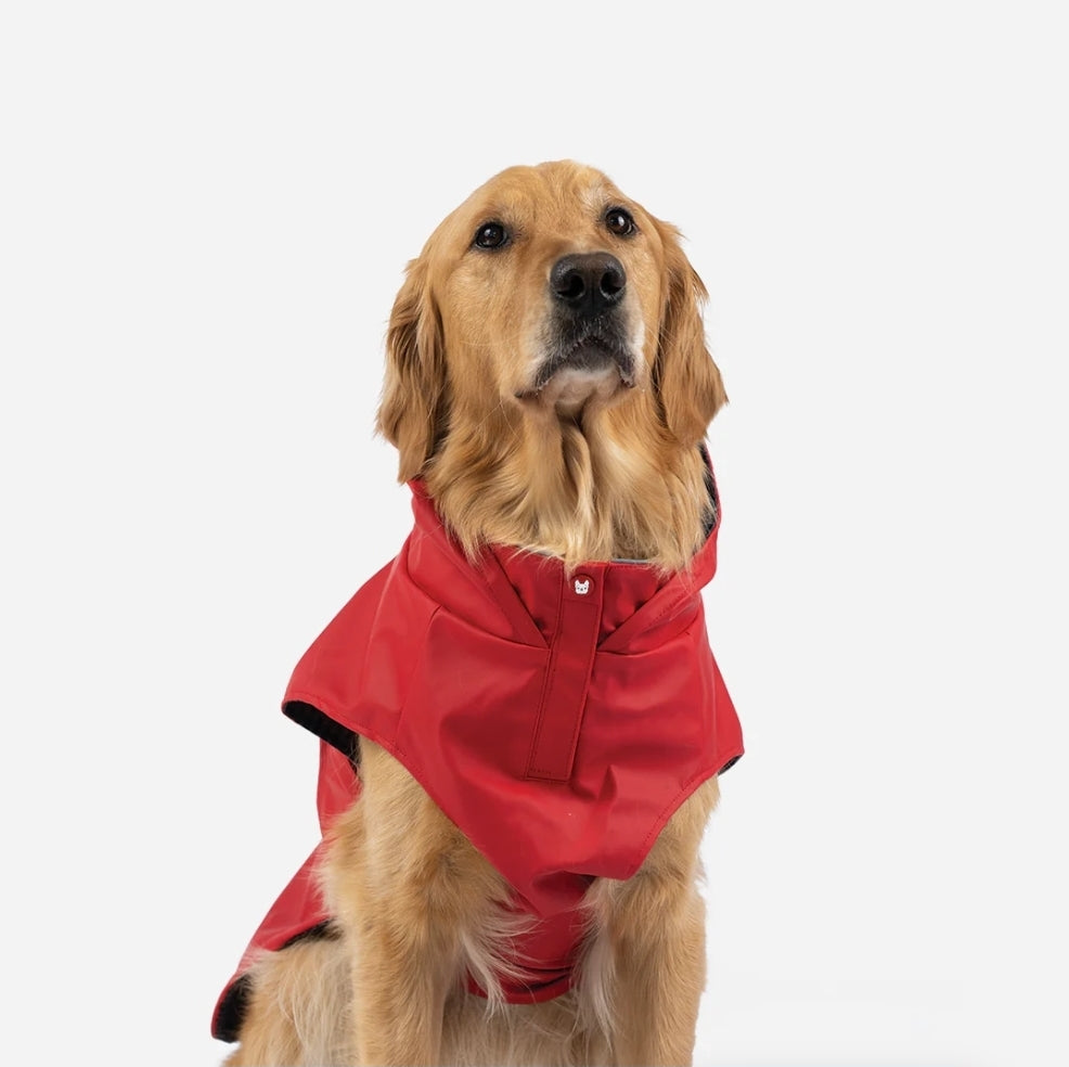 Aden 2.0 Dog Raincoat Red – Stylish, Waterproof, Adjustable, with Reflective Piping & Sun Alert Patch