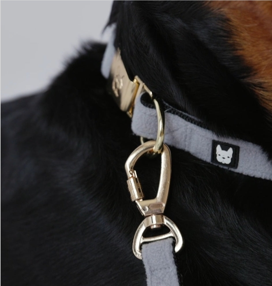 Aquafleece Dog Collar – Grey Water-Resistant Adjustable Collar with Metal Buckle