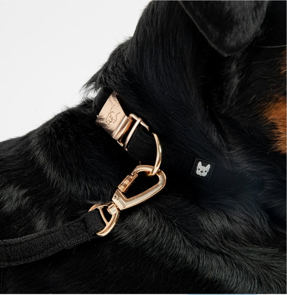 Skip to product information
Aquafleece Dog Collar - Black - Silver Paw
Aquafleece Dog Collar - B