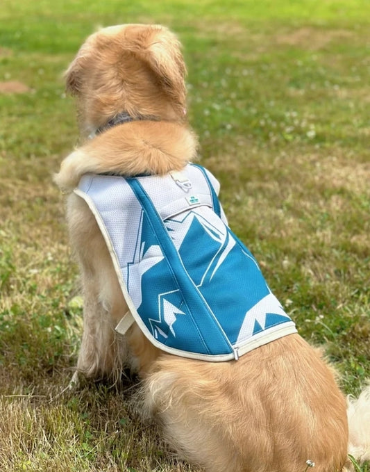 Trailbreeze Cooling Vest by Pawtrk