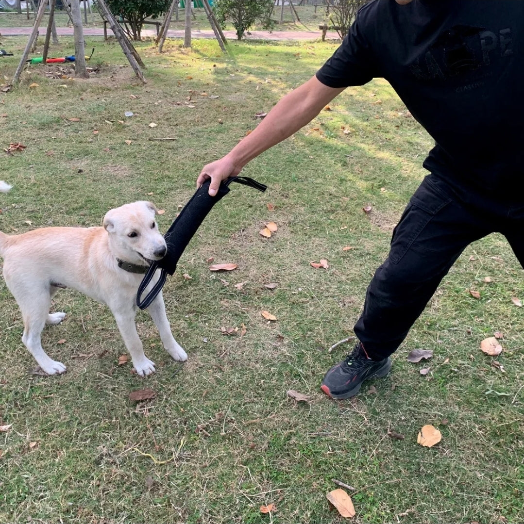 Tug toy