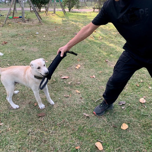 Tug toy