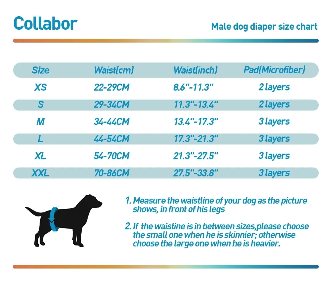 Male Dog Belly Band