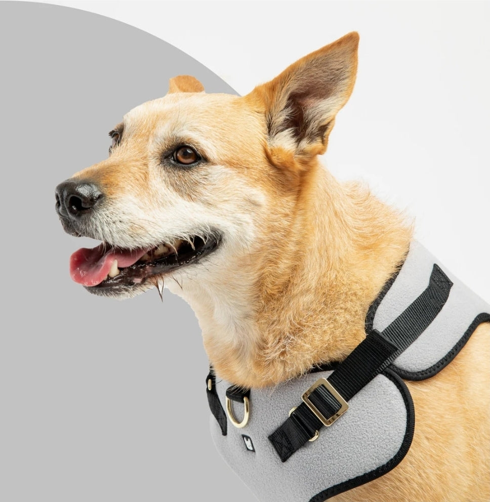 Aquafleece Waterproof Dog Harness – Gray Adjustable, Padded & Durable
