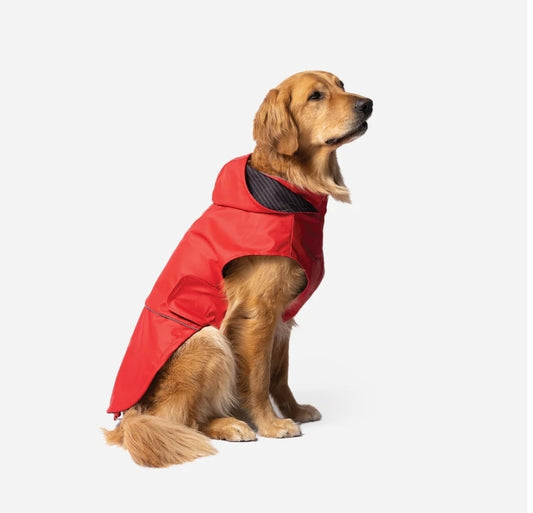 Aden 2.0 Dog Raincoat Red – Stylish, Waterproof, Adjustable, with Reflective Piping & Sun Alert Patch
