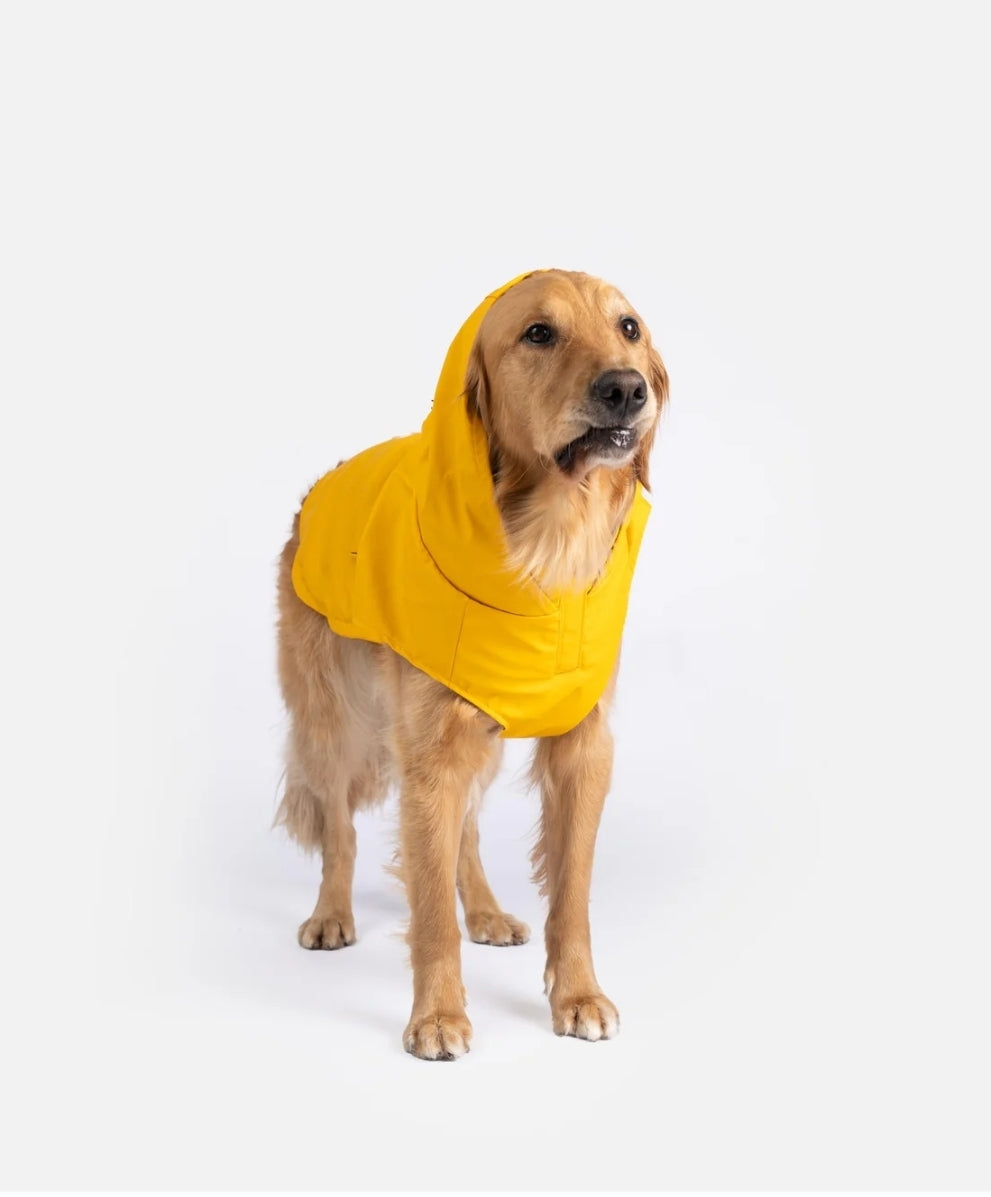 Aden 2.0 Dog Raincoat Yellow – Stylish, Waterproof, Adjustable, with Reflective Piping & Sun Alert Patch
