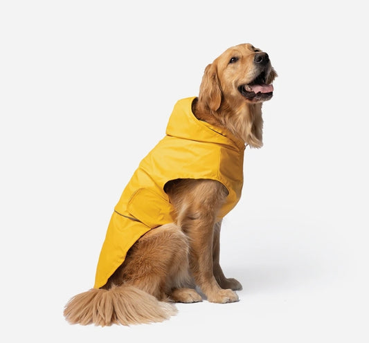 Aden 2.0 Dog Raincoat Yellow – Stylish, Waterproof, Adjustable, with Reflective Piping & Sun Alert Patch